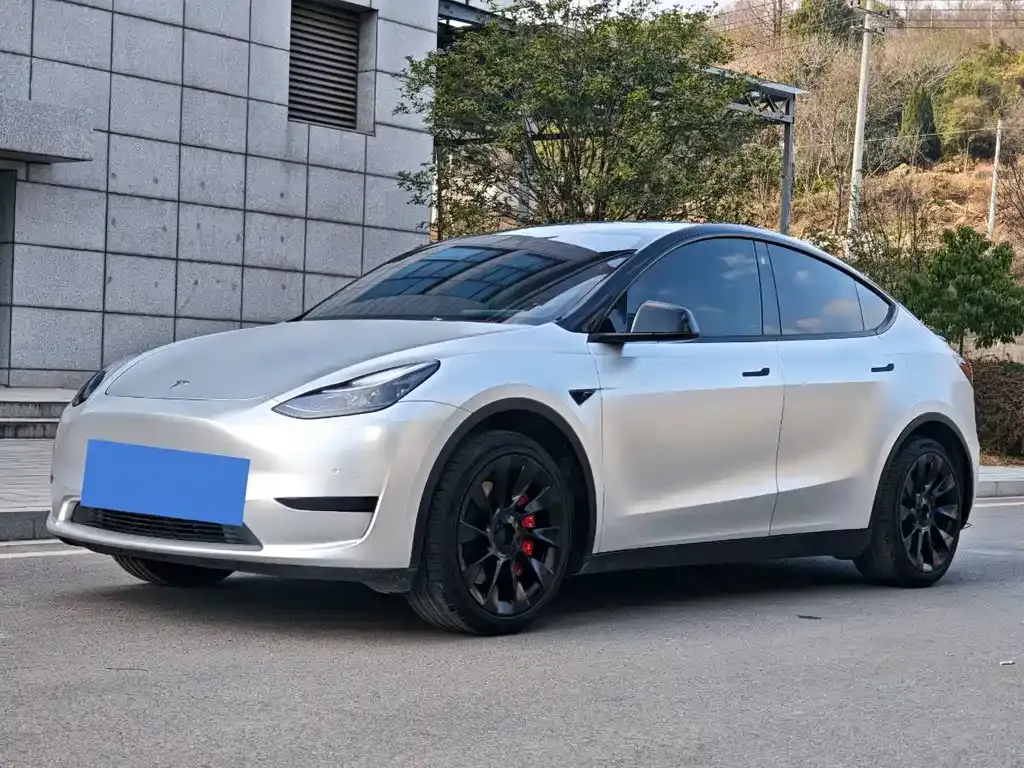 Tesla Model Y — фото 7