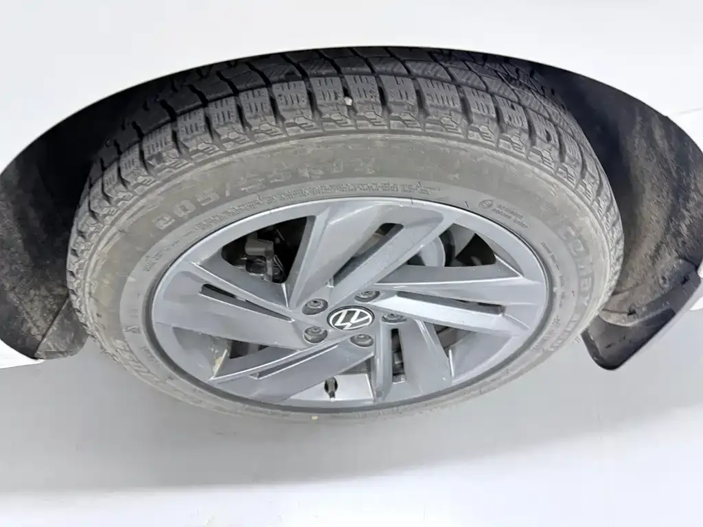 Volkswagen Lamando 2024 из CN, фото 2
