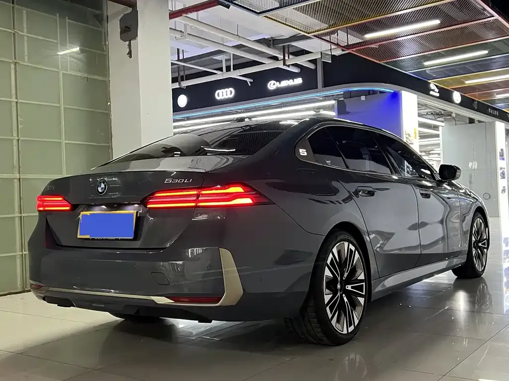 BMW 5 Series 2024 из CN, фото 9