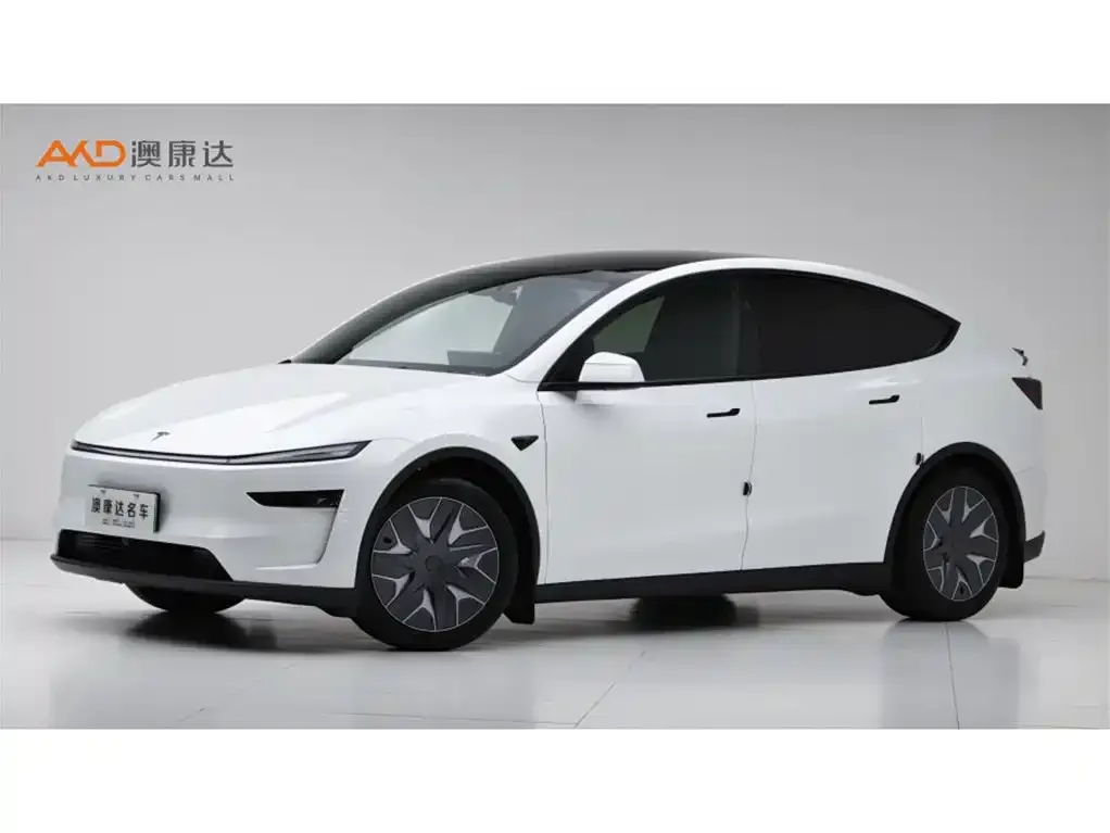 Tesla Model Y L 2025 из CN, фото 1