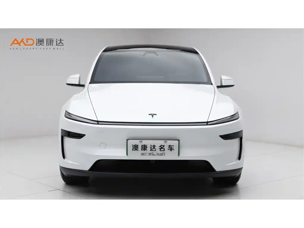 Tesla Model Y L 2025 из CN, фото 4