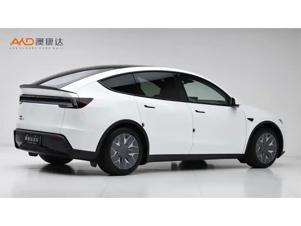Tesla Model Y L 2025 из CN, фото 3