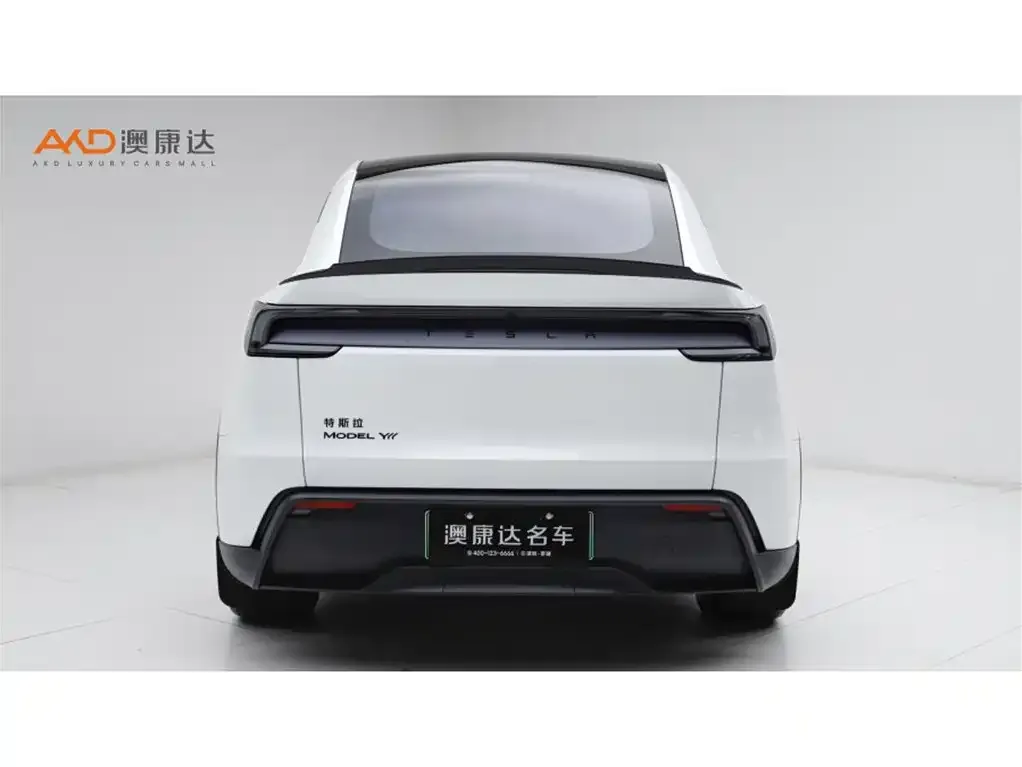 Tesla Model Y L 2025 из CN, фото 7