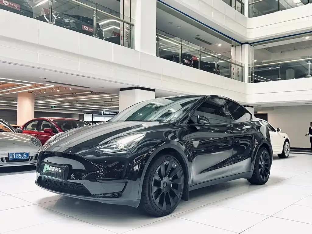Tesla Model Y — фото 1