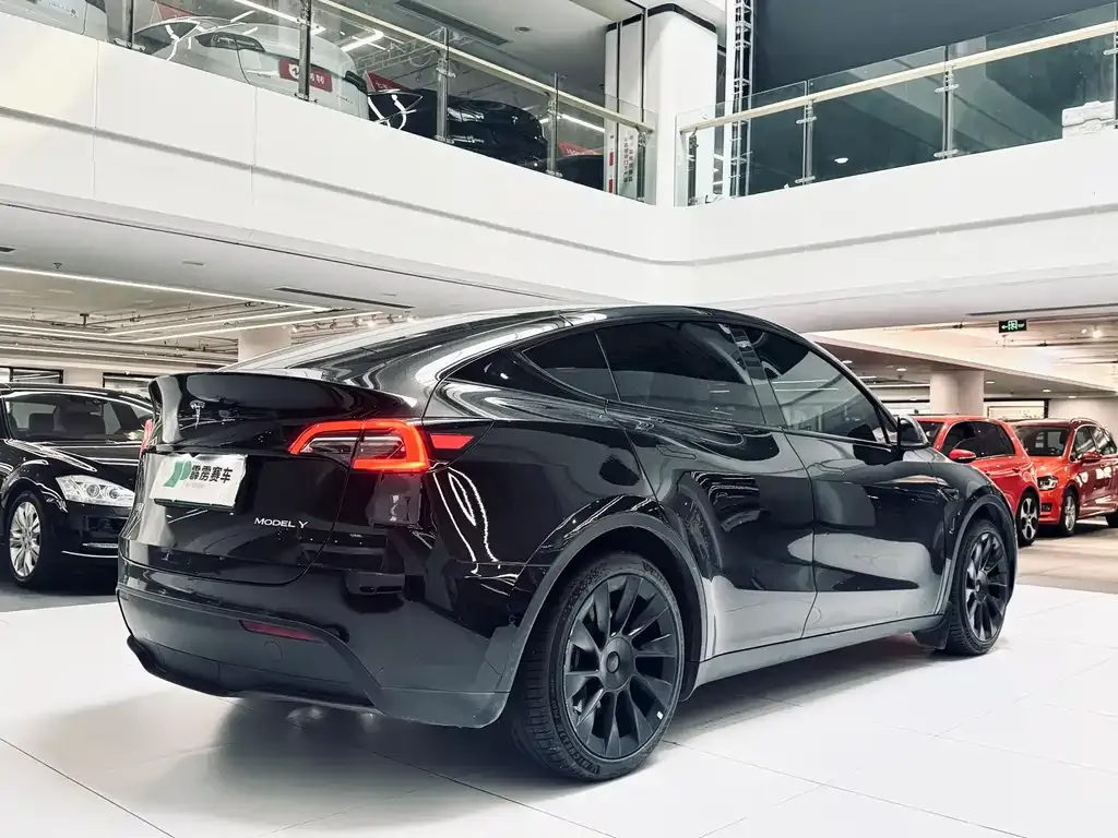 Tesla Model Y — фото 10