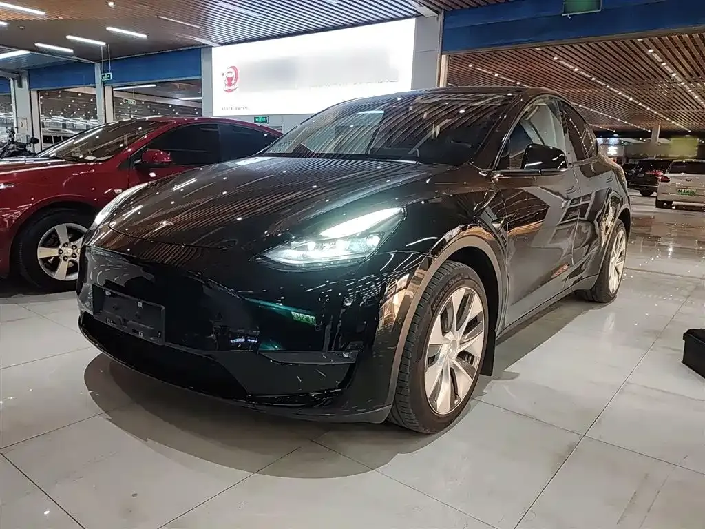 Tesla Model Y 2021 из CN, фото 6