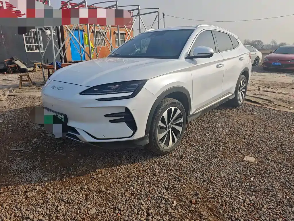 BYD PLUS New Energy 2024 из CN, фото 1