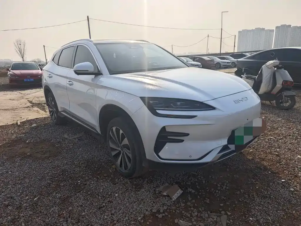 BYD PLUS New Energy 2024 из CN, фото 3