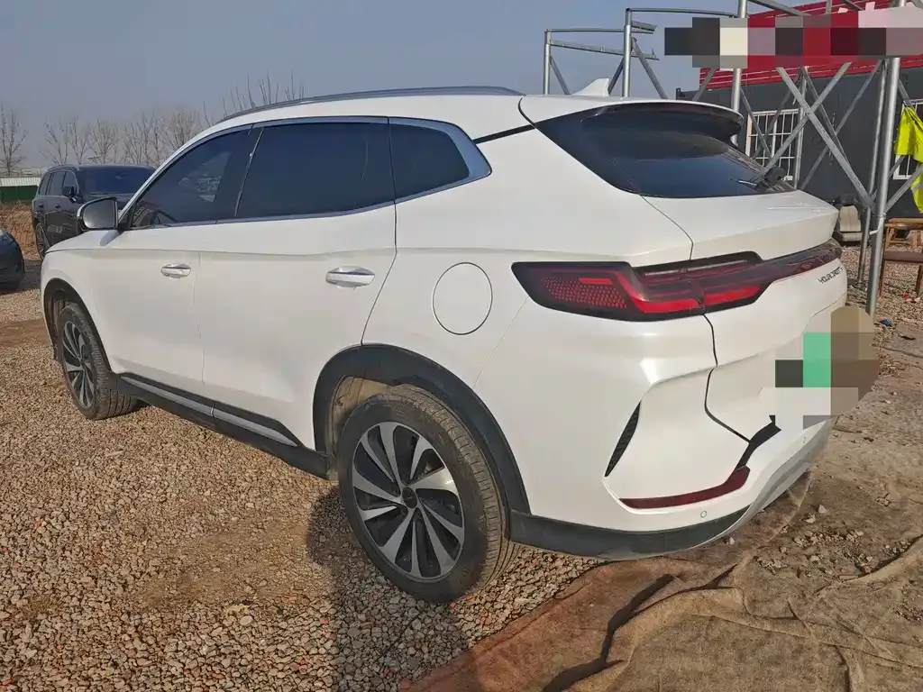 BYD PLUS New Energy 2024 из CN, фото 7