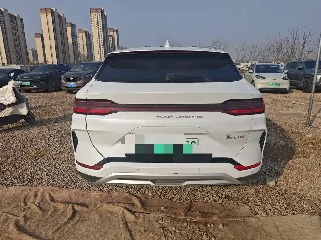BYD PLUS New Energy 2024 из CN, фото 8