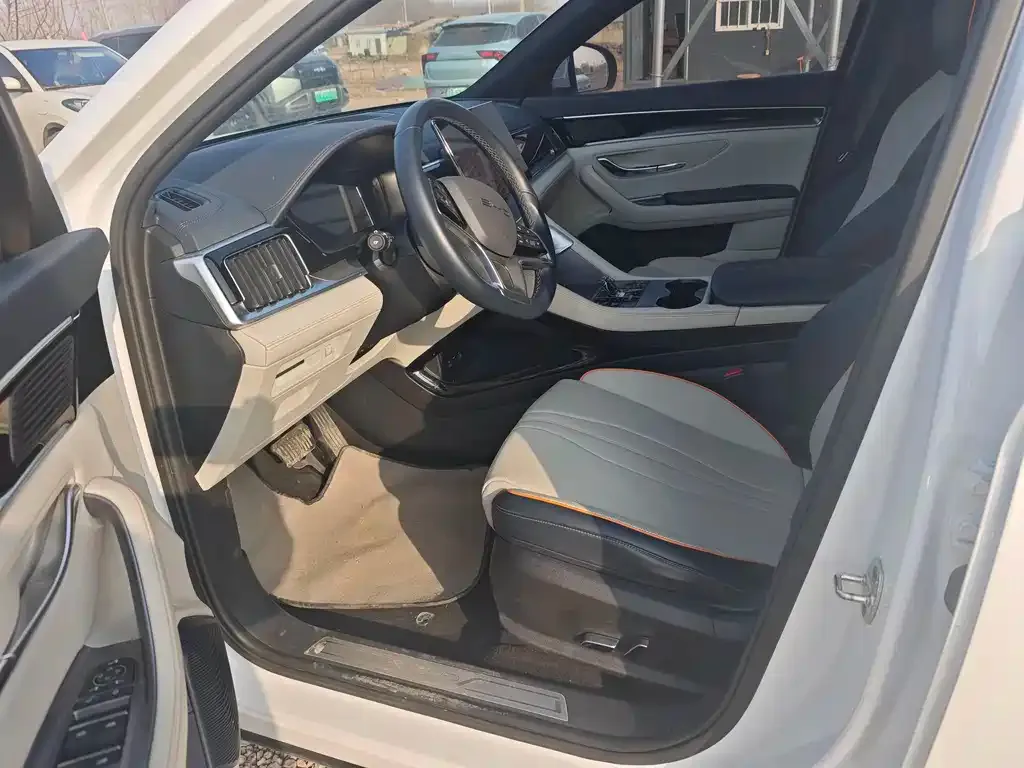 BYD PLUS New Energy 2024 из CN, фото 2