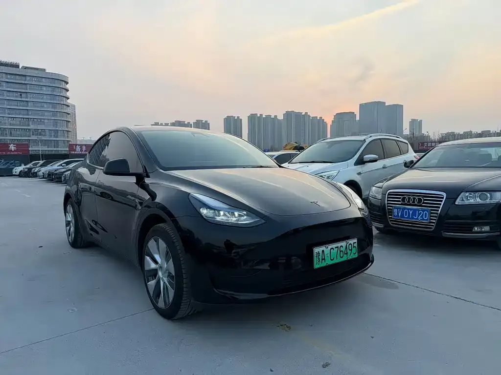 Tesla Model Y 2023 из CN, фото 5