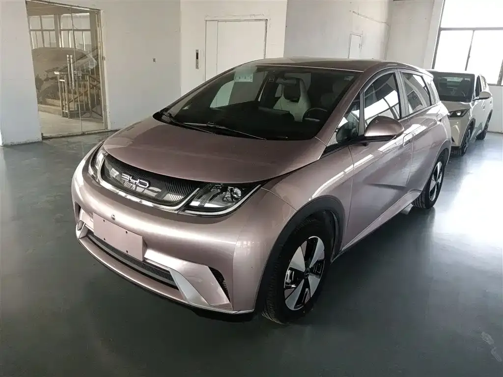 BYD Dolphin 2023 из CN, фото 1