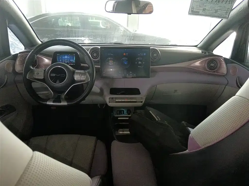 BYD Dolphin 2023 из CN, фото 4