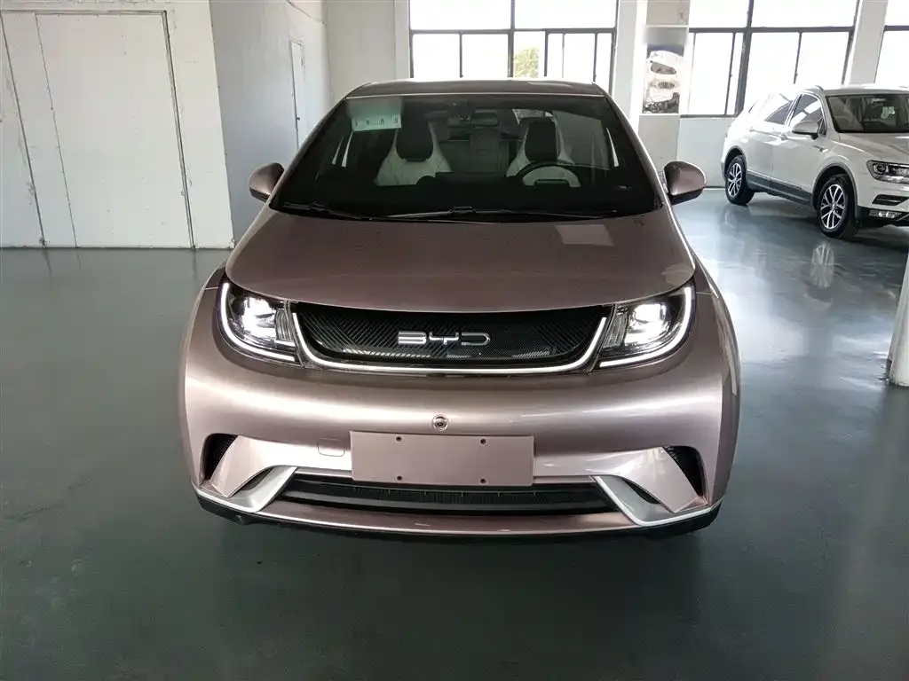 BYD Dolphin 2023 из CN, фото 7