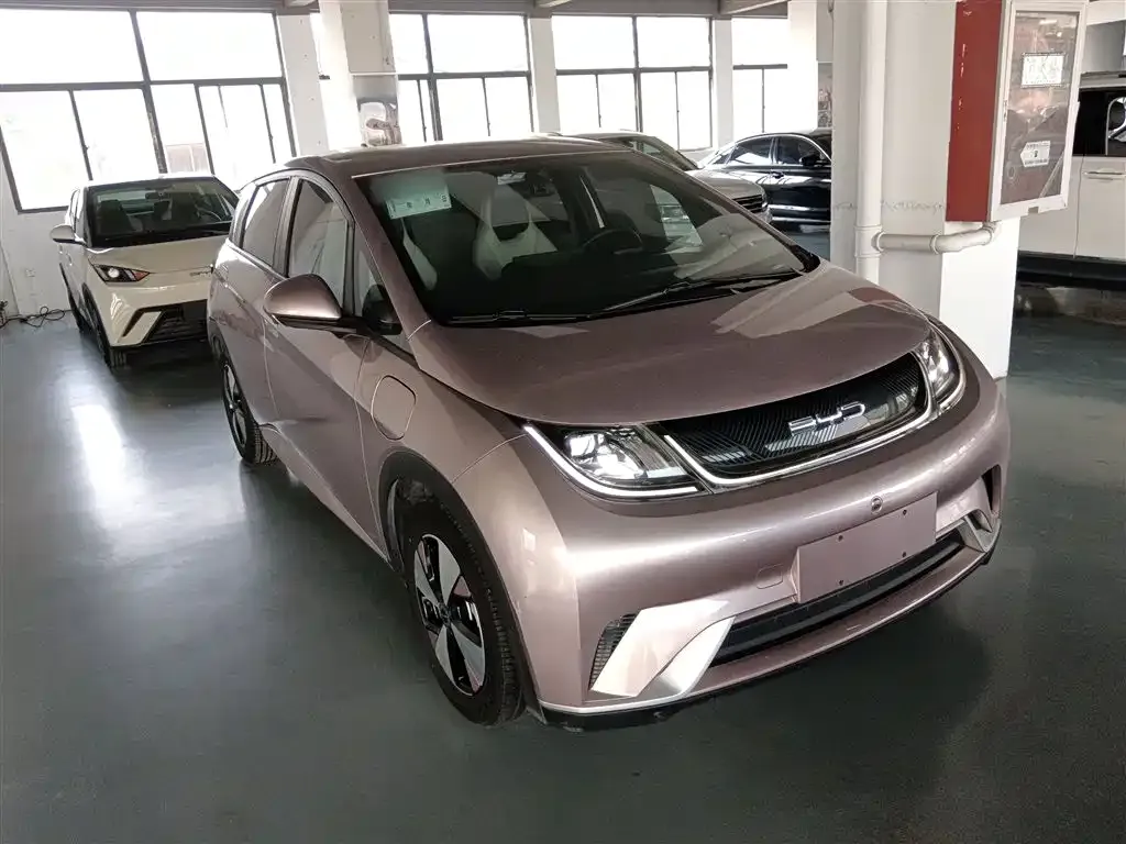 BYD Dolphin 2023 из CN, фото 5