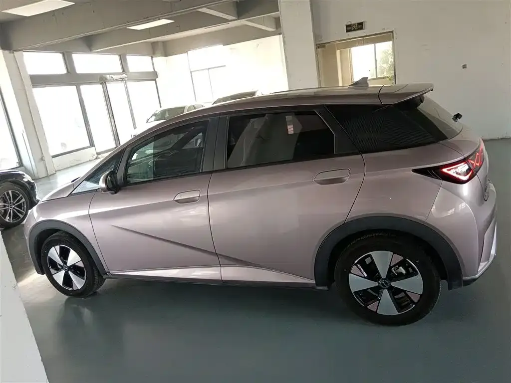 BYD Dolphin 2023 из CN, фото 9