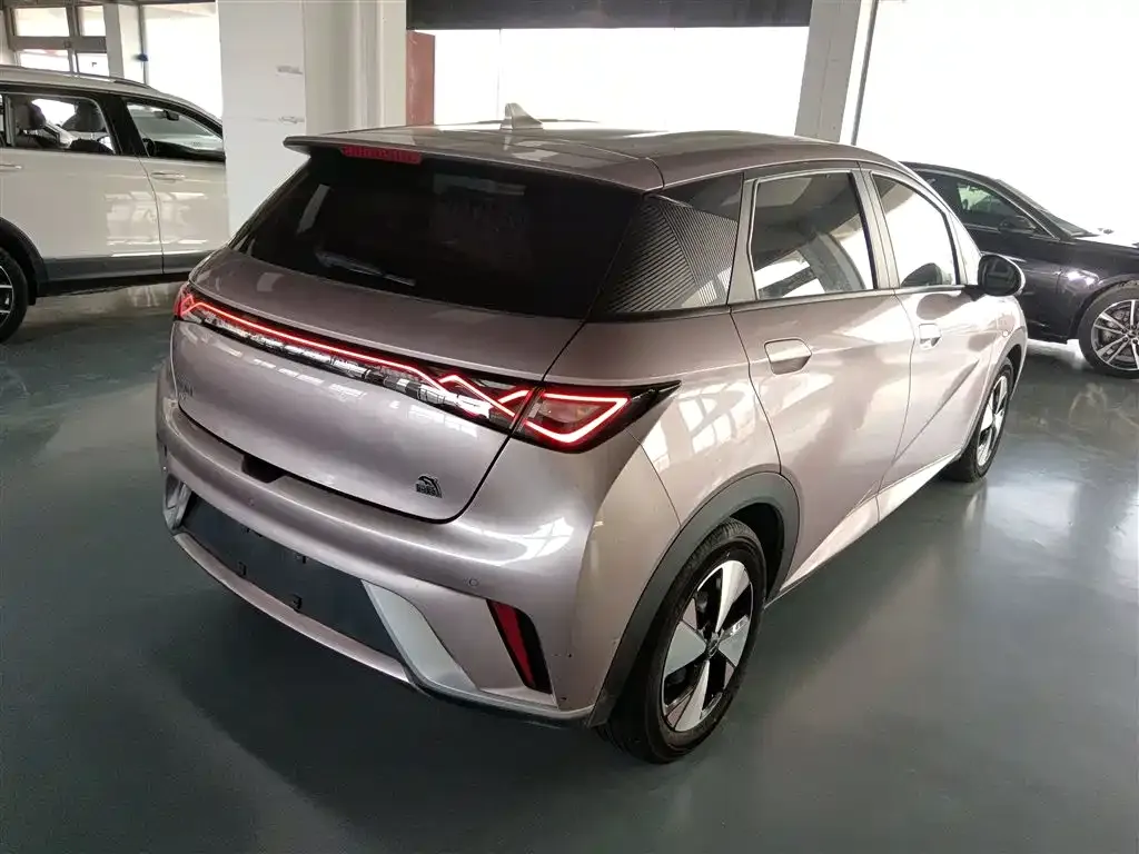 BYD Dolphin 2023 из CN, фото 8