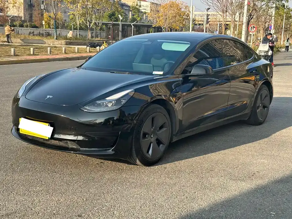 Tesla Model 3 2022 из CN, фото 1