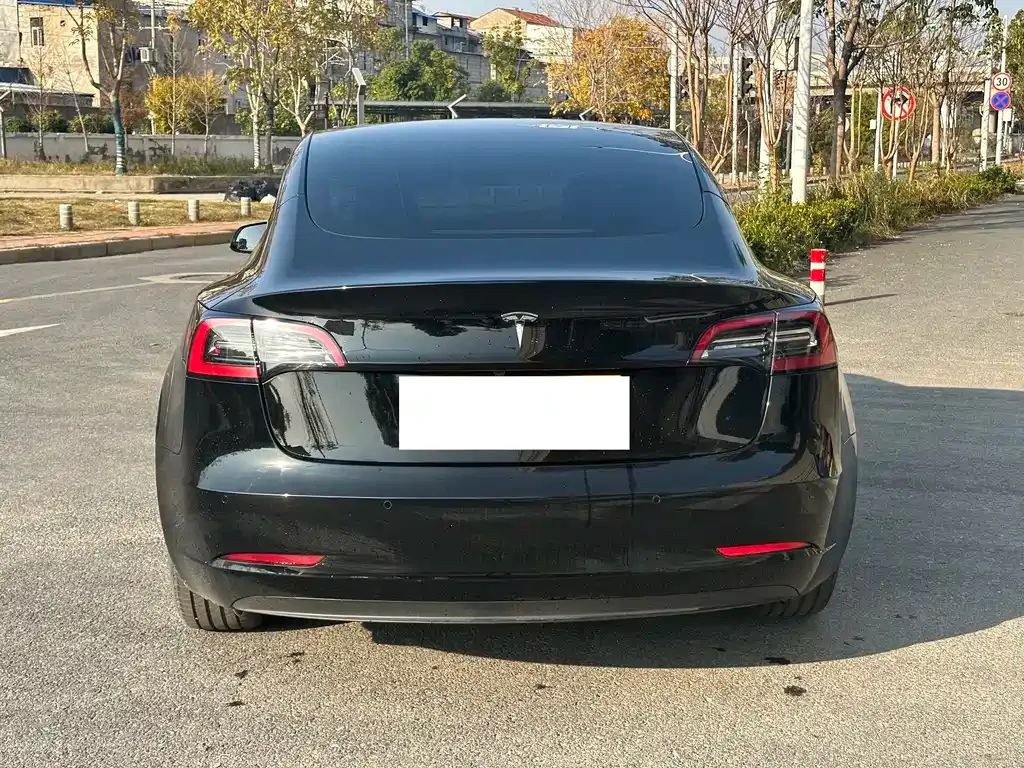 Tesla Model 3 2022 из CN, фото 7