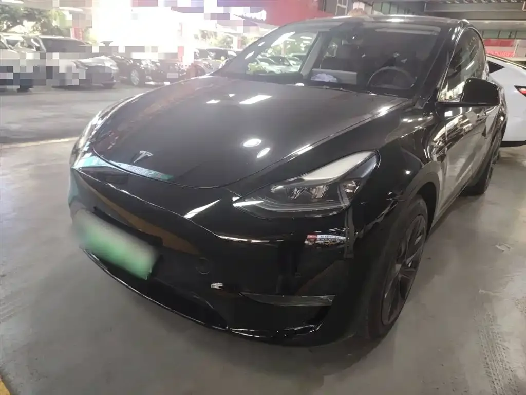 Tesla Model Y 2021 из CN, фото 1