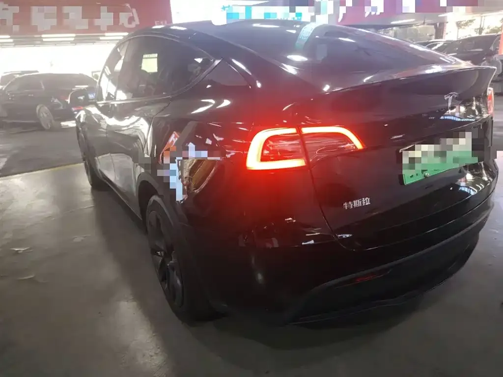 Tesla Model Y 2021 из CN, фото 6