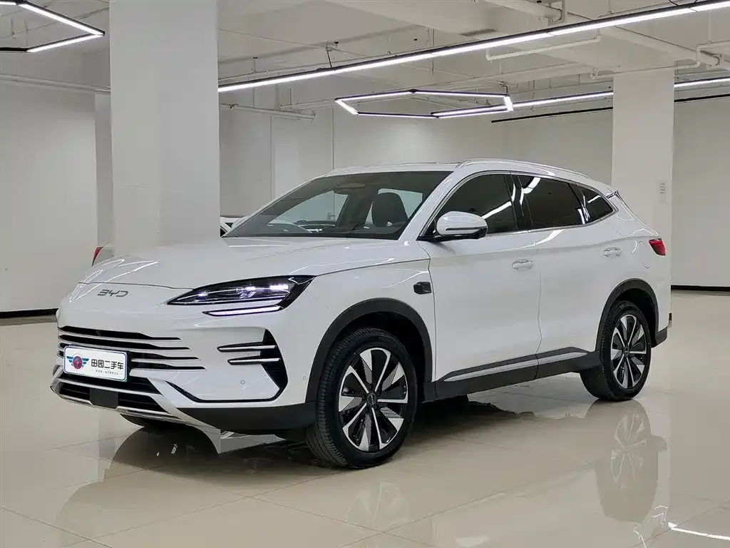 BYD PLUS New Energy 2025 из CN, фото 1