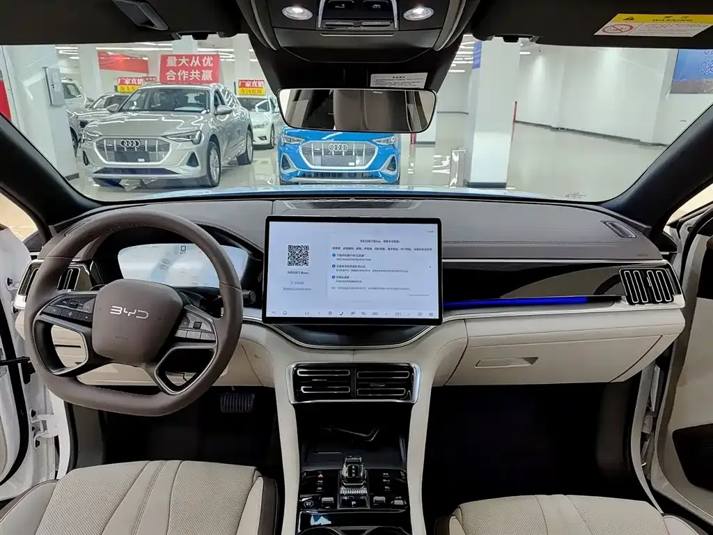 BYD PLUS New Energy 2025 из CN, фото 8