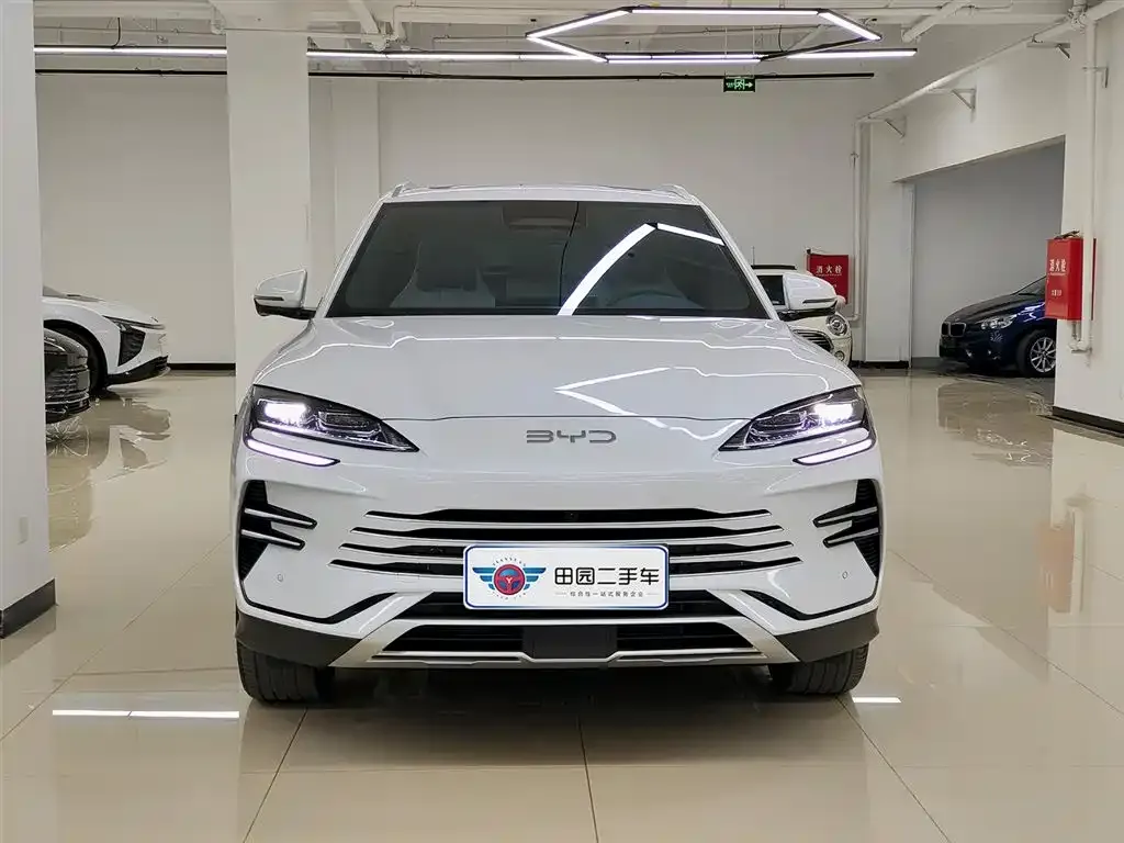 BYD PLUS New Energy 2025 из CN, фото 2