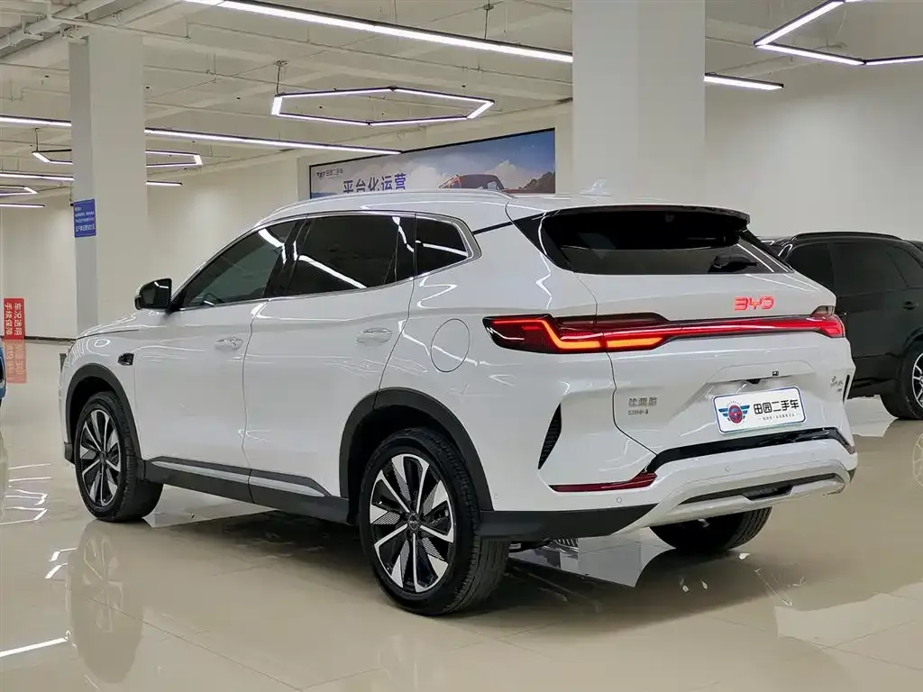 BYD PLUS New Energy 2025 из CN, фото 7