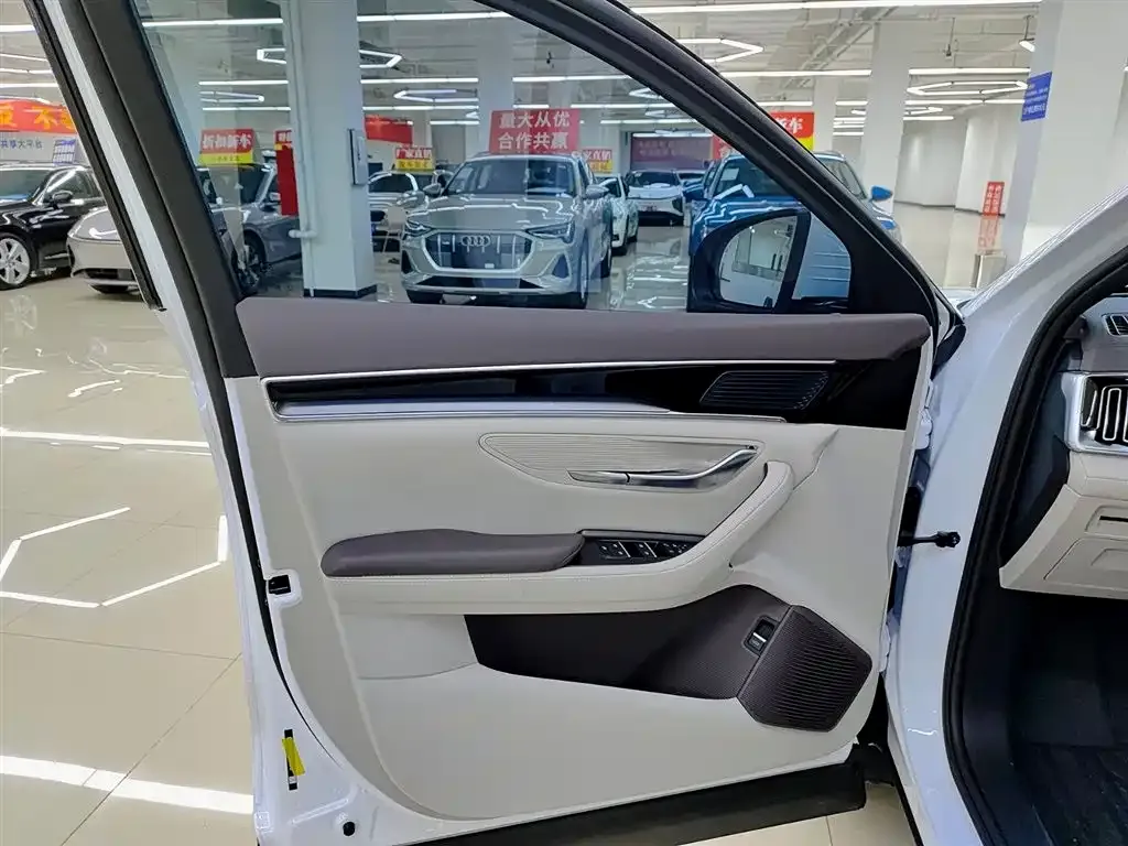 BYD PLUS New Energy 2025 из CN, фото 3
