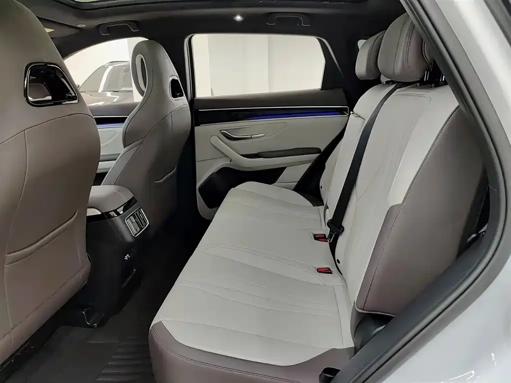 BYD PLUS New Energy 2025 из CN, фото 6