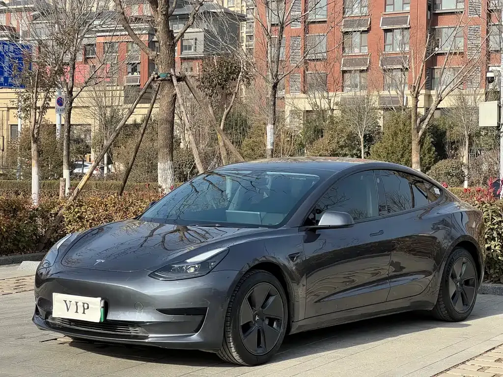 Tesla Model 3 2021 из CN, фото 1
