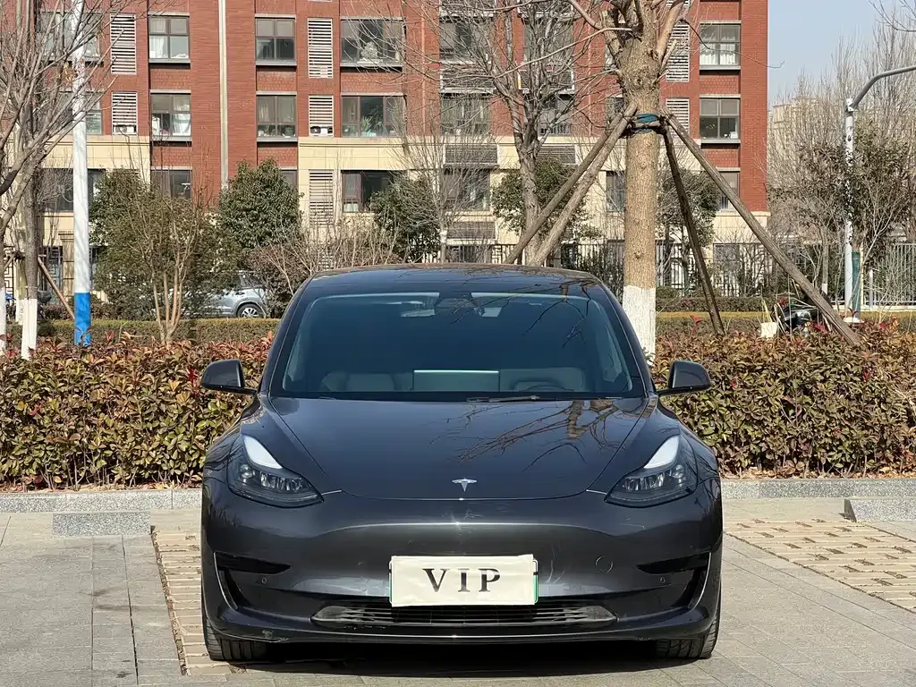 Tesla Model 3 2021 из CN, фото 4