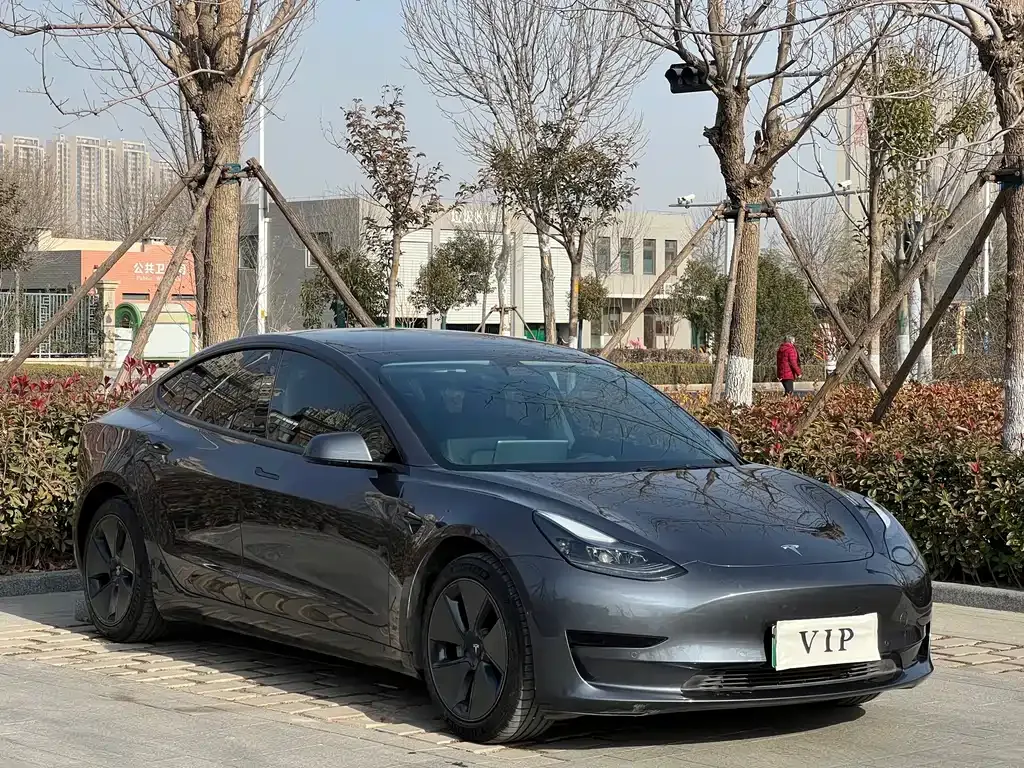 Tesla Model 3 2021 из CN, фото 10
