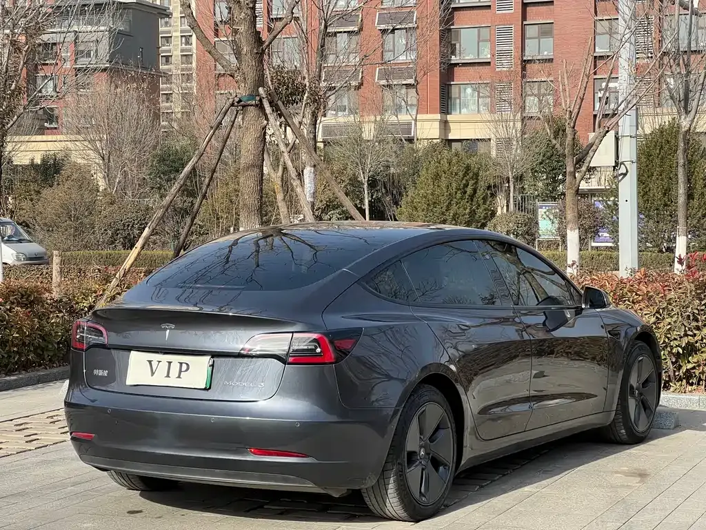 Tesla Model 3 2021 из CN, фото 6