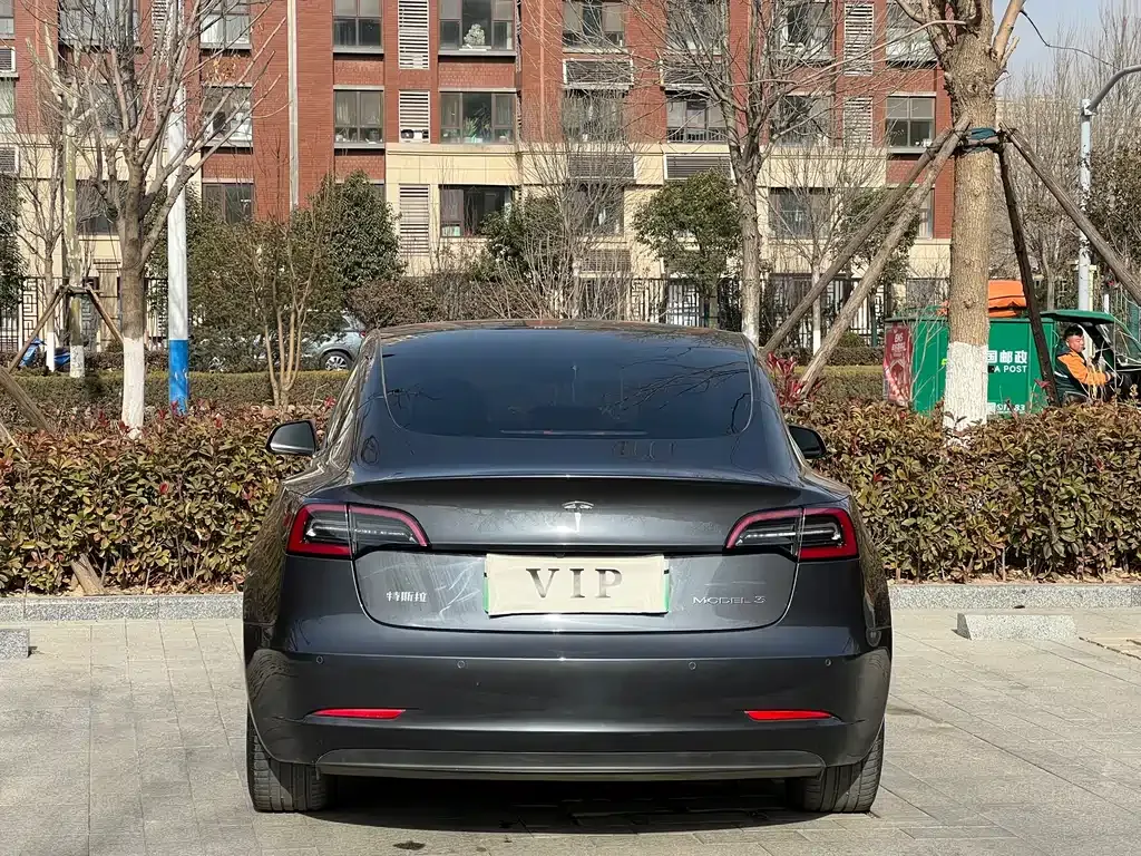 Tesla Model 3 2021 из CN, фото 5