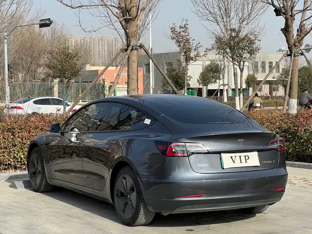 Tesla Model 3 2021 из CN, фото 7