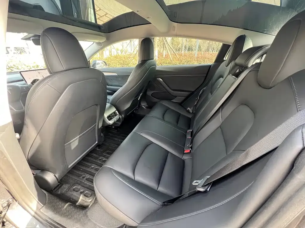 Tesla Model 3 2021 из CN, фото 3