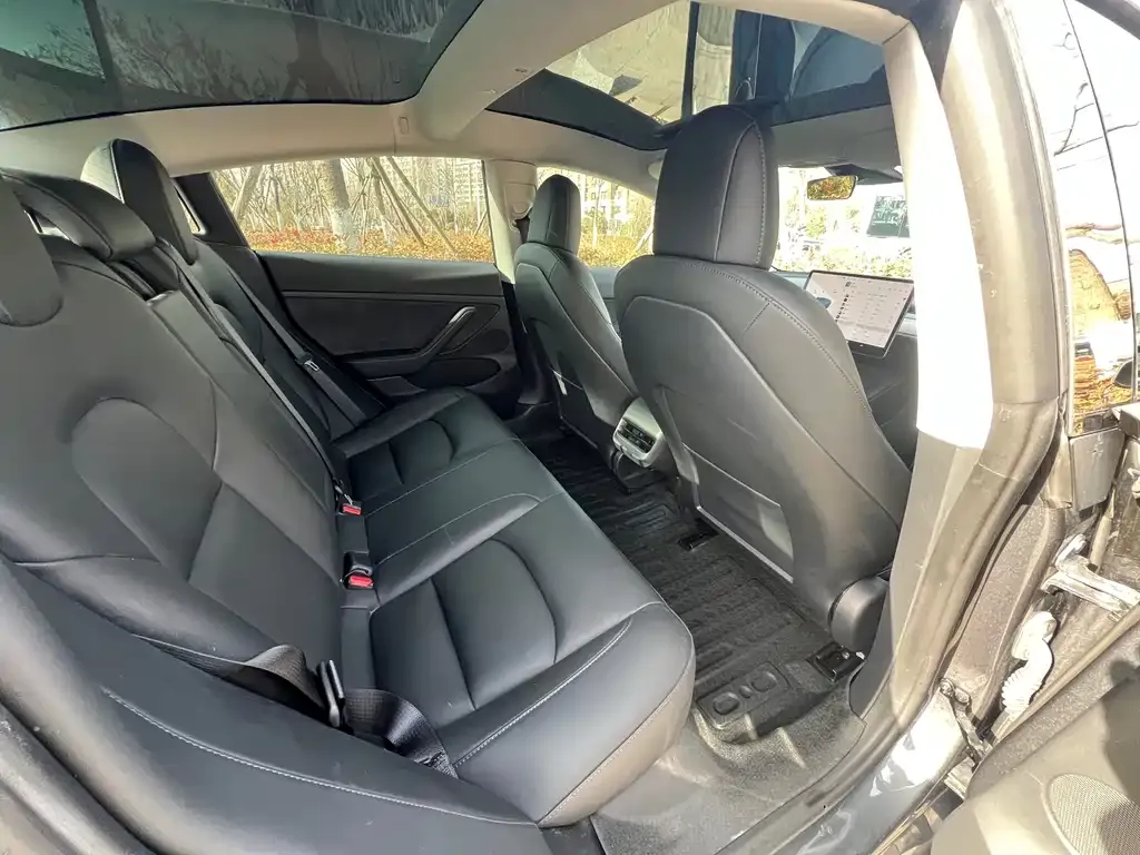 Tesla Model 3 2021 из CN, фото 8
