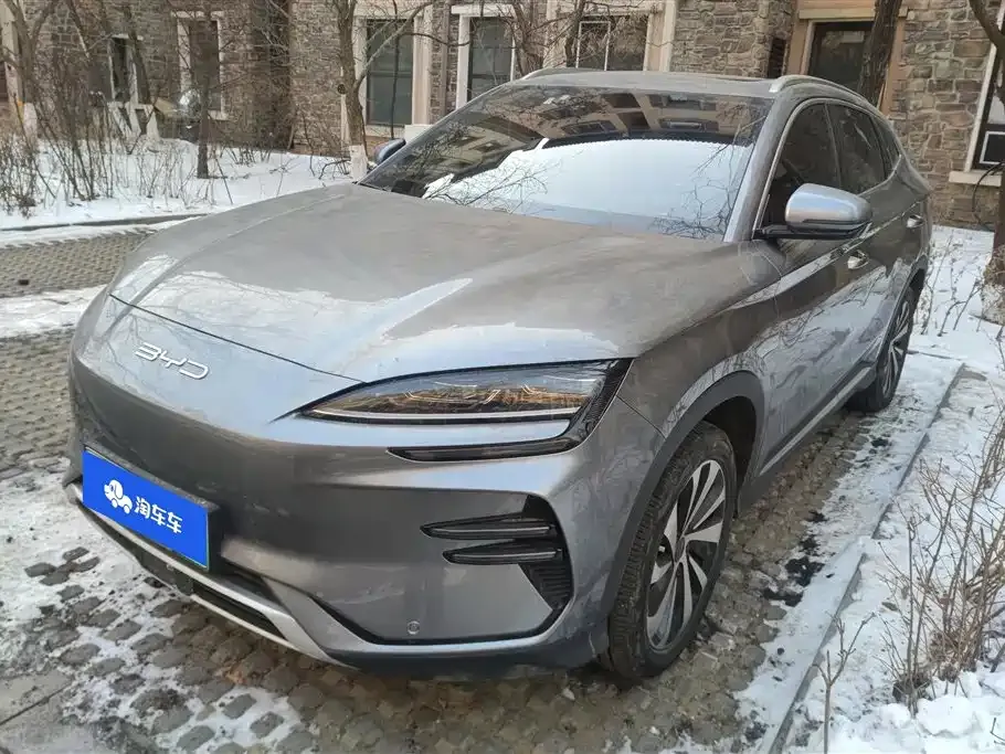 BYD PLUS New Energy 2023 из CN, фото 1