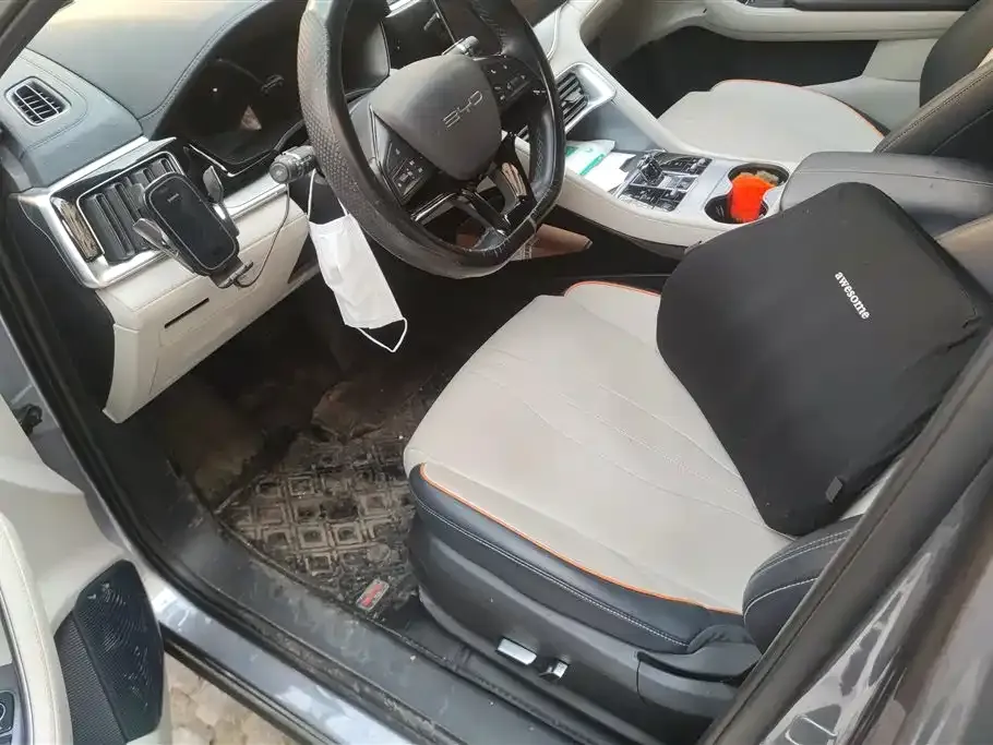 BYD PLUS New Energy 2023 из CN, фото 6