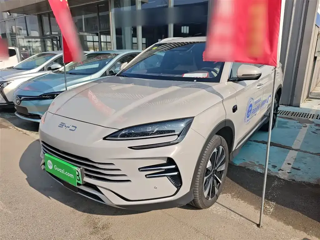 BYD PLUS New Energy — фото 1