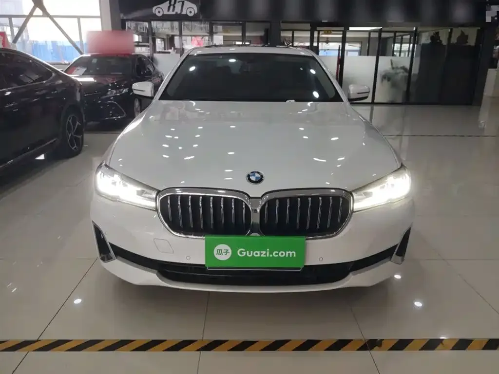 BMW 5 Series 2021 из CN, фото 6