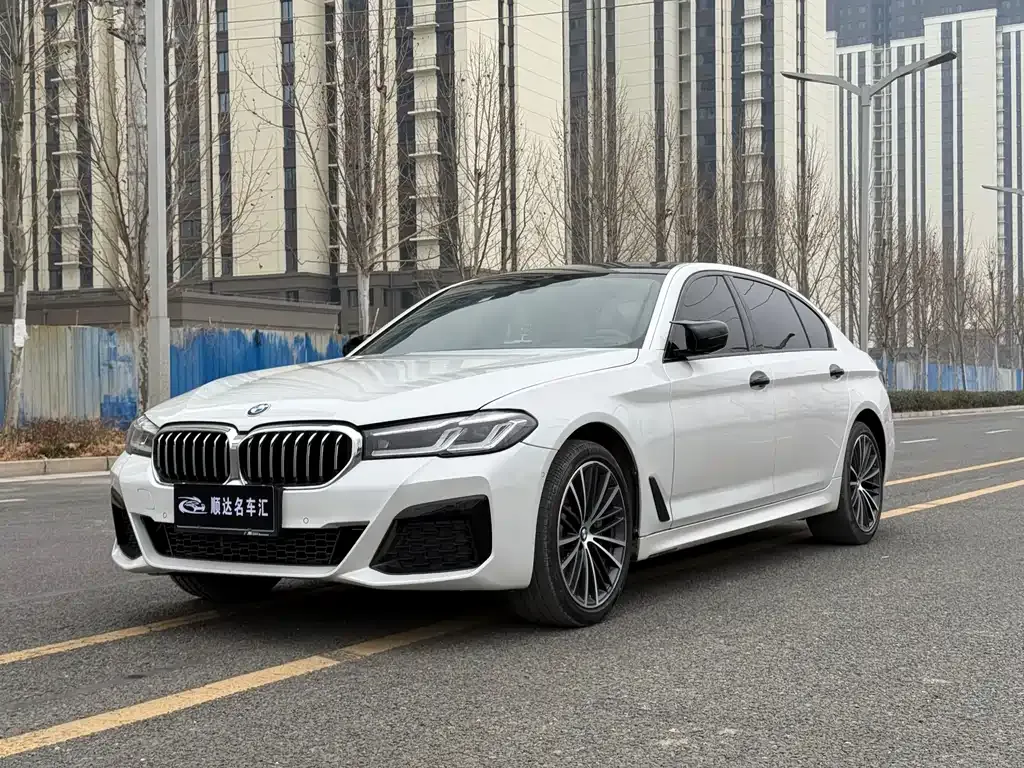 BMW 5 Series 2022 из CN, фото 1