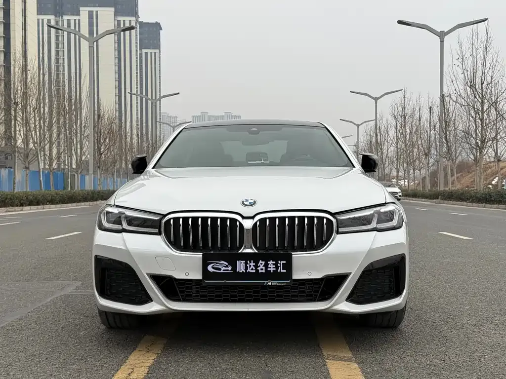 BMW 5 Series 2022 из CN, фото 9