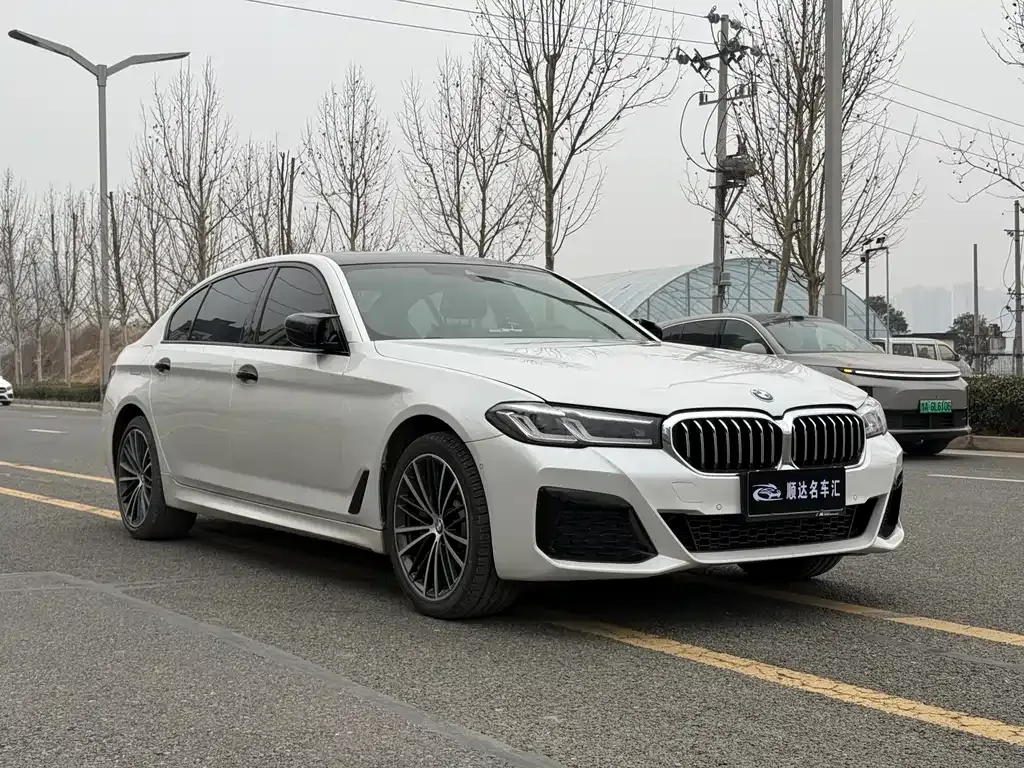 BMW 5 Series 2022 из CN, фото 5