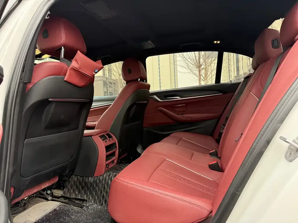 BMW 5 Series 2022 из CN, фото 8