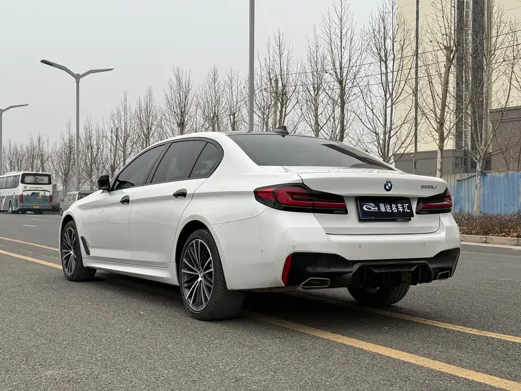 BMW 5 Series 2022 из CN, фото 3