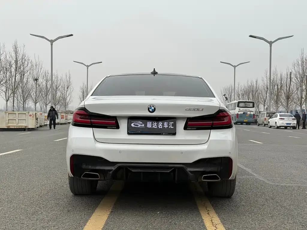 BMW 5 Series 2022 из CN, фото 4